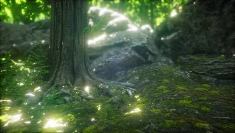 Sun-Light-in-the-Green-Forest